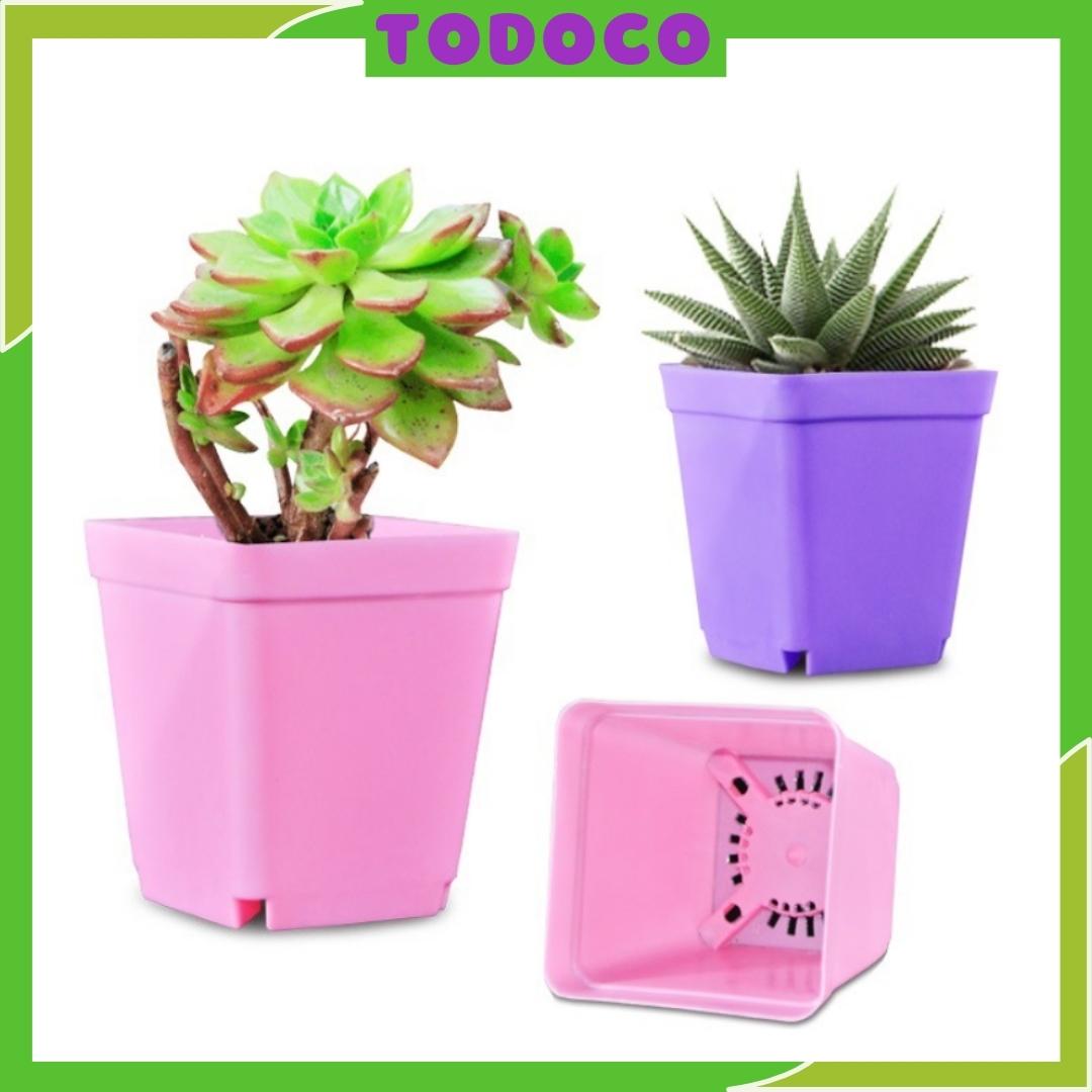 Chậu nhựa mini trồng sen đá 6 màu sắc đẹp mắt