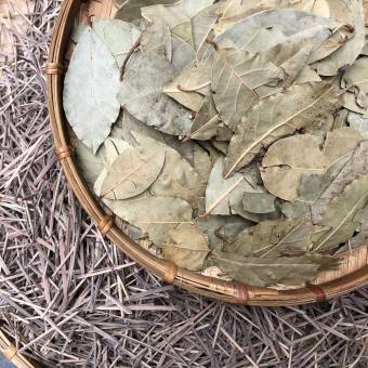 Lá Nguyệt Quế - Lá Bay Leaves Khô Nguyên Lá Thượng Hạng Làm Gia Vị , Pha Trà 100g