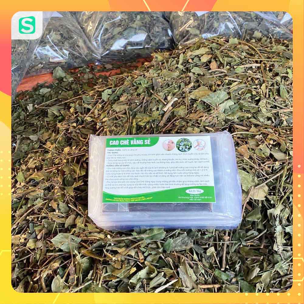 Lá chè vằng sẻ giảm cân - lợi sữa cho phụ nữ sau sinh