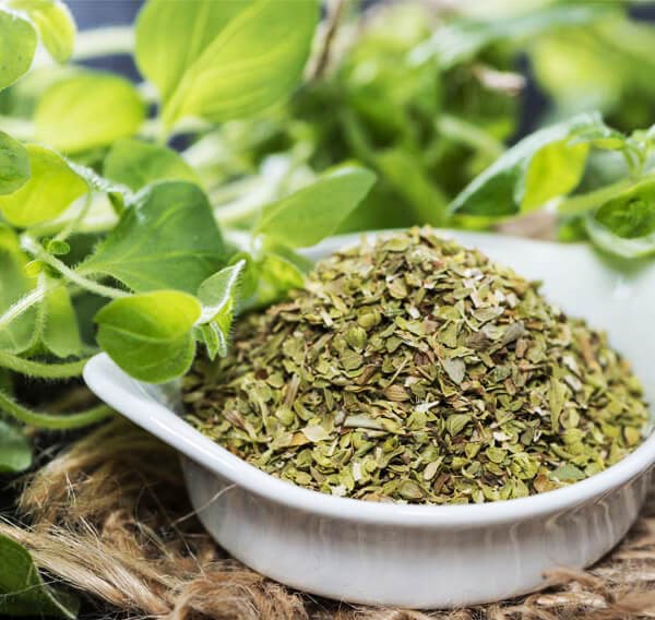 Lá Thơm Oregano