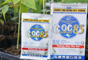 Trừ nấm trừ khuẩn Coc 85 Wp ( 1 Hộp)