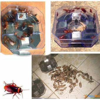 MÁY BẮT GIÁN, BẮT CÔN TRÙNG THÔNG MINH - DỤNG CỤ BẪY, BẮT GIÁN, BẮT CÔN TRÙNG TIỆN DỤNG AN TOÀN CHO SỨC KHỎE