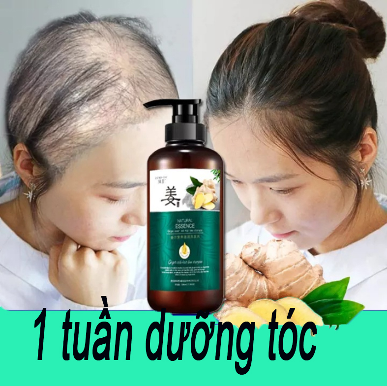 Dầu gội chống rụng gừng, dầu gội nước gừng cũ, dầu gội gừng vua, chống gãy tóc, kiểm soát dầu tóc ngứa và mềm mại