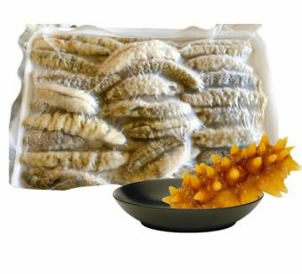 Hải Sâm Baby ( 60 - 70 Con/Kg)