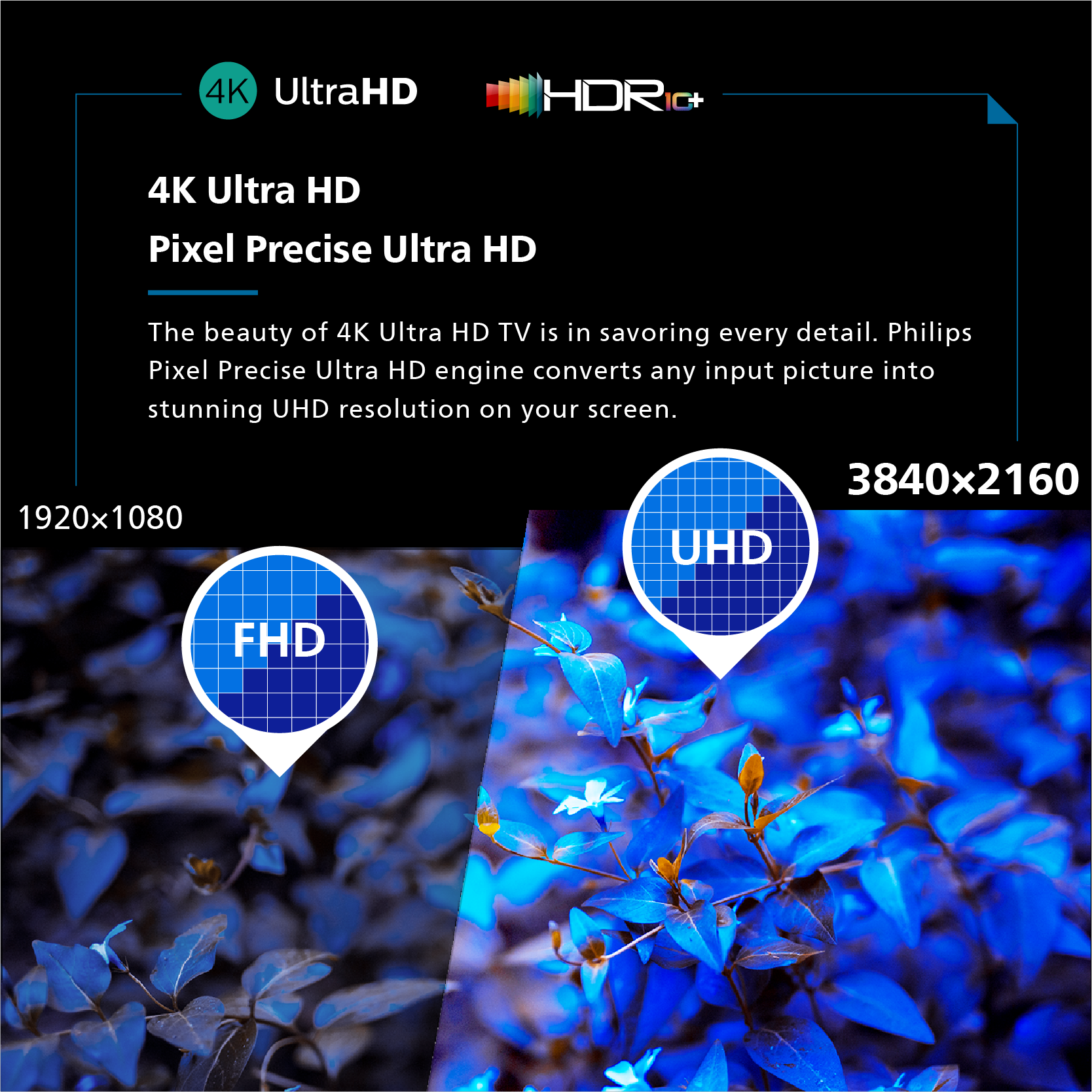 تلفزيون جوجل فيليبس 4K UHD LED موديل 2024، 55 بوصة |