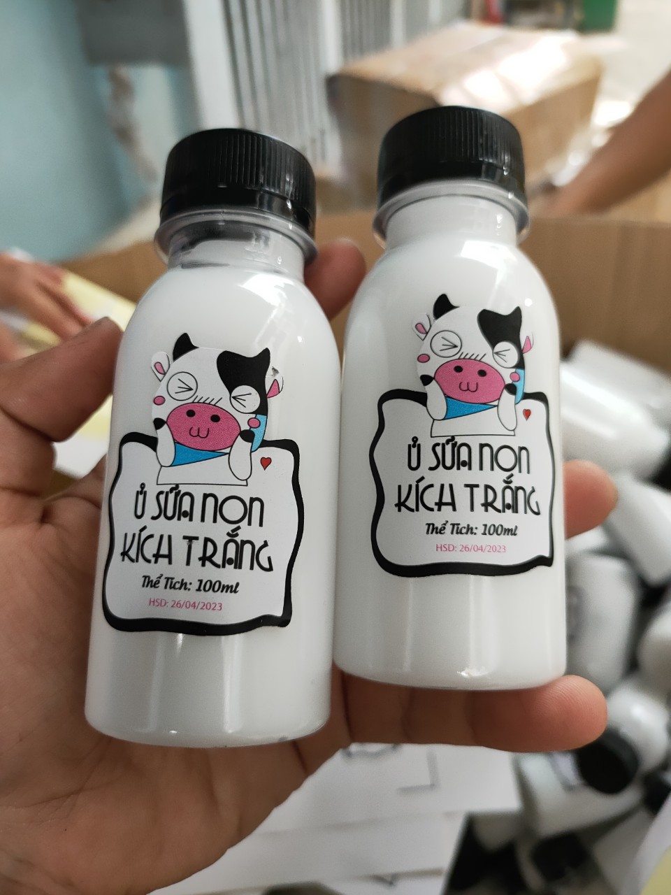 Ủ sữa non kích trắng con bò