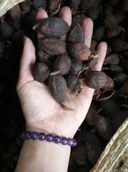 1kg thảo quả khô