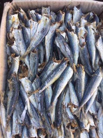 Cá khô xào khế, Khô cá Nục không đầu đặc sản khô Cà Mau thịt săn chắc, thơm ngon, giàu dinh dưỡng hút chân không túi 100GRAM, Thơm ngon, Ăn bao ghiền