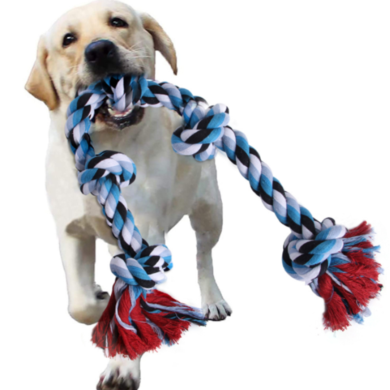 rope animals for dogs