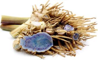 Nghệ đen tươi 1 ký (vui lòng đọc thông tin sản phẩm)