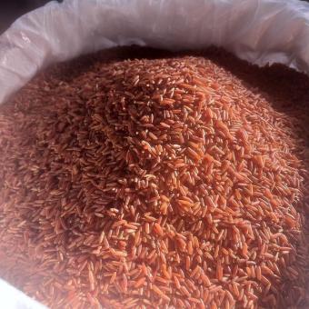 Gạo lứt Huyết Rồng