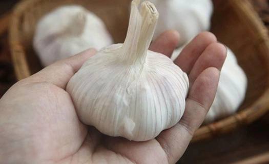 Tỏi Khô Loại 1 - Củ To Loại Đặc Biệt Nhiều Tép