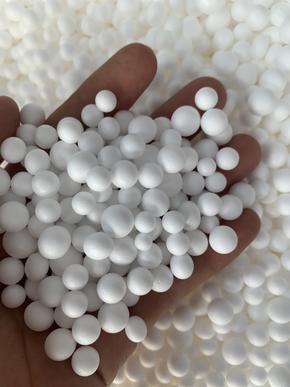 1GÓI HẠT XỐP CÂU LANCE