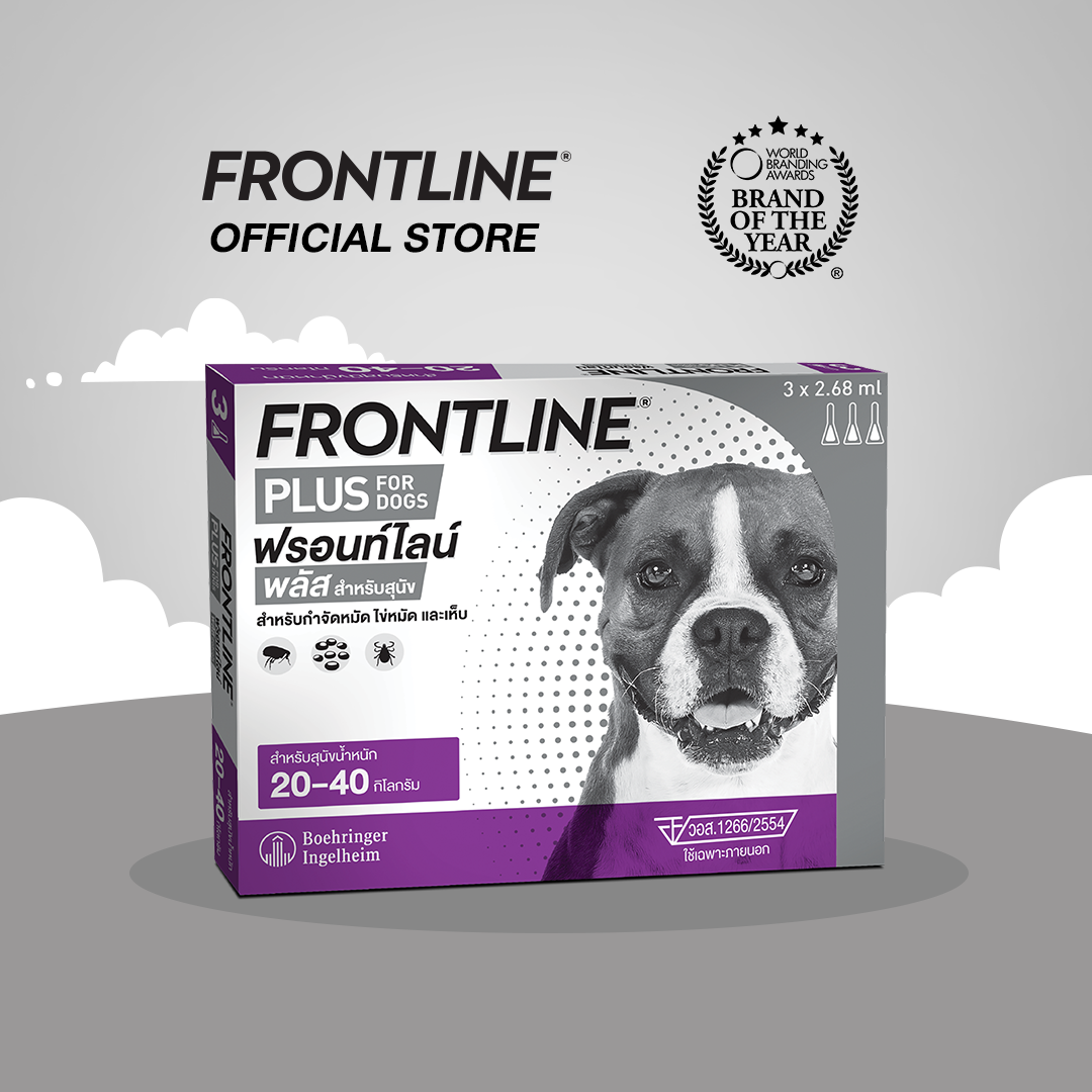 FRONTLINE PLUS DOG Size L (20-40 kg) ฟรอนท์ไลน์ พลัส ยาหยดกำจัดเห็บหมัด สำหรับสุนัข ขนาด L (น้ำหนัก 20-40 กก.) ราคา 680 บาท*ส่งฟรี