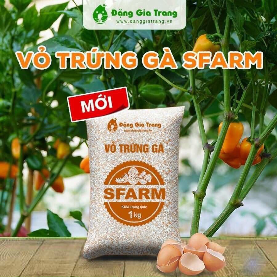 Vỏ trứng gà đã qua xử lý Sfarm 1kg giúp cây khoẻ, hạn chế côn trùng, sâu bệnh hại dành cho hoa cây cảnh