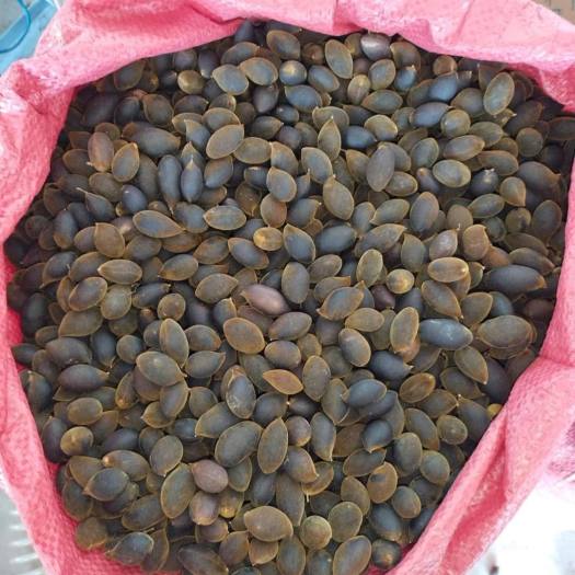 Say rừng ( 1kg) - Đặc sản bà Mười