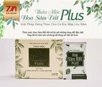 Trà hoa sâm đất PLUS MẪU XANH ZN mẫu mới dạng viên hộp 30 viên