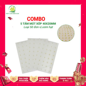 Bộ 5 tấm mút xốp ươm hạt khớp rọ PVC~250 đơn vị ươm 40x40mm