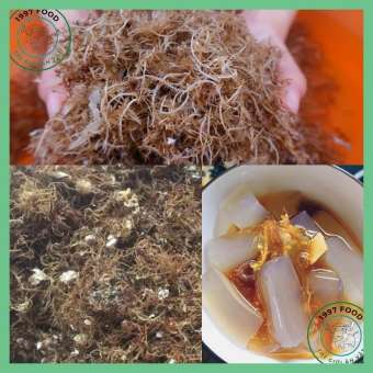Rong Biển Nấu Xu Xoa (Xu Xa)- Rau Câu Lý Sơn Nấu Xu Xoa- Rau Đông Nấu Chè Xu Xoa Quảng Ngãi Loại 1 Hàng Tự Nhiên Ít Tạp Chất Nấu Xu Xoa Siêu Ngon Kèm Hướng Dẫn Cách Nấu Đảm Bảo Đông Ngay Túi 100gr- 1997FOOD