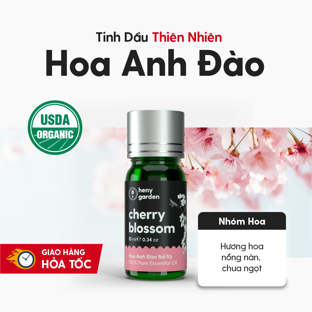 Tinh Dầu Thơm Phòng Hoa Anh Đào Organic Thiên Nhiên Nguyên Chất Đậm Đặc HENY GARDEN Xông Thơm Phòng, Làm Nến Thơm Giúp Dễ Ngủ 10mL