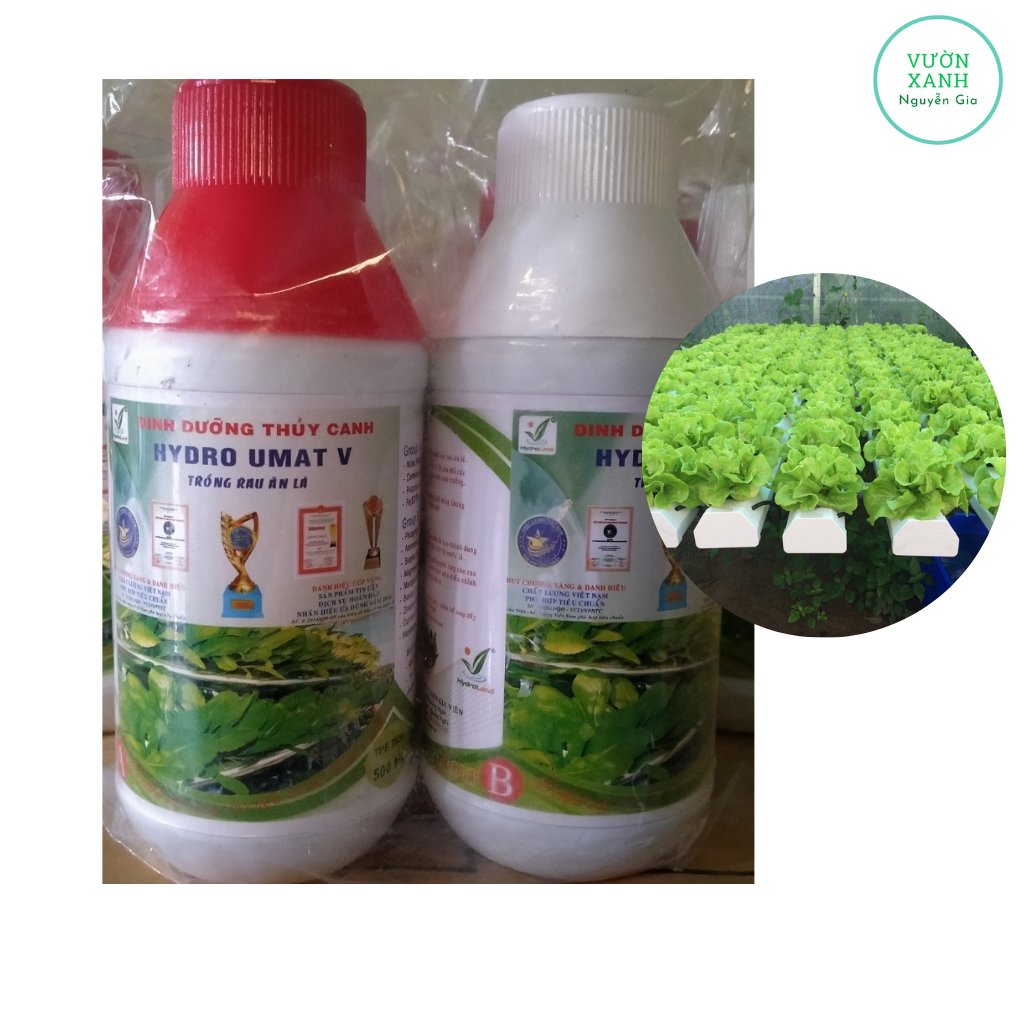 Dung dịch thủy canh trồng rau ăn lá Hydro Umat V 500ml A + 500ml B