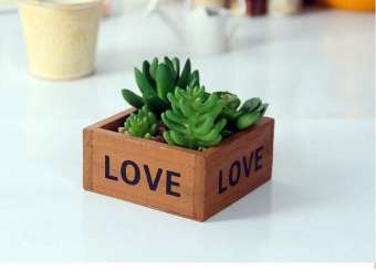 Chậu trồng cây cảnh: Mẫu chậu gỗ Love