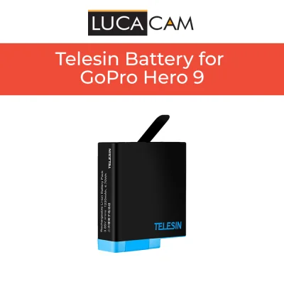 Dual Charger + Telesin Battery Combo for GoPro Hero 9 (1)