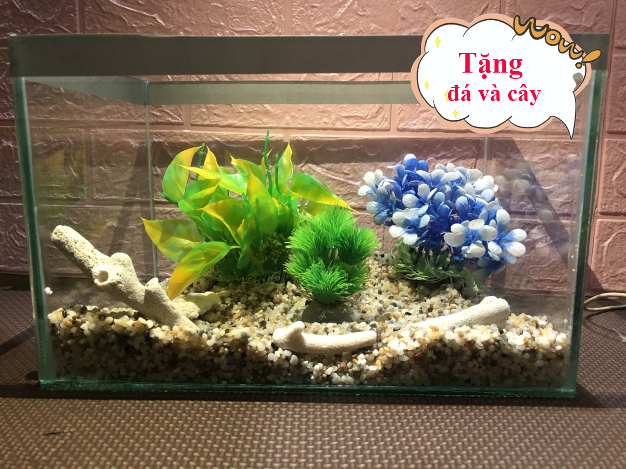 Hồ cá, bể cá  cảnh thủy sinh ( Dài 32cm, Rộng 20cm, Cao 20cm) tặng kèm ĐÁ & Cây giả trang trí