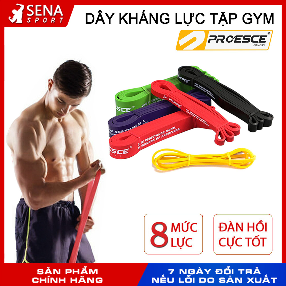 DÂY KHÁNG LỰC POWERBAND HỖ TRỢ TẬP GYM TOÀN THÂN - CHÍNH HÃNG PROESCE