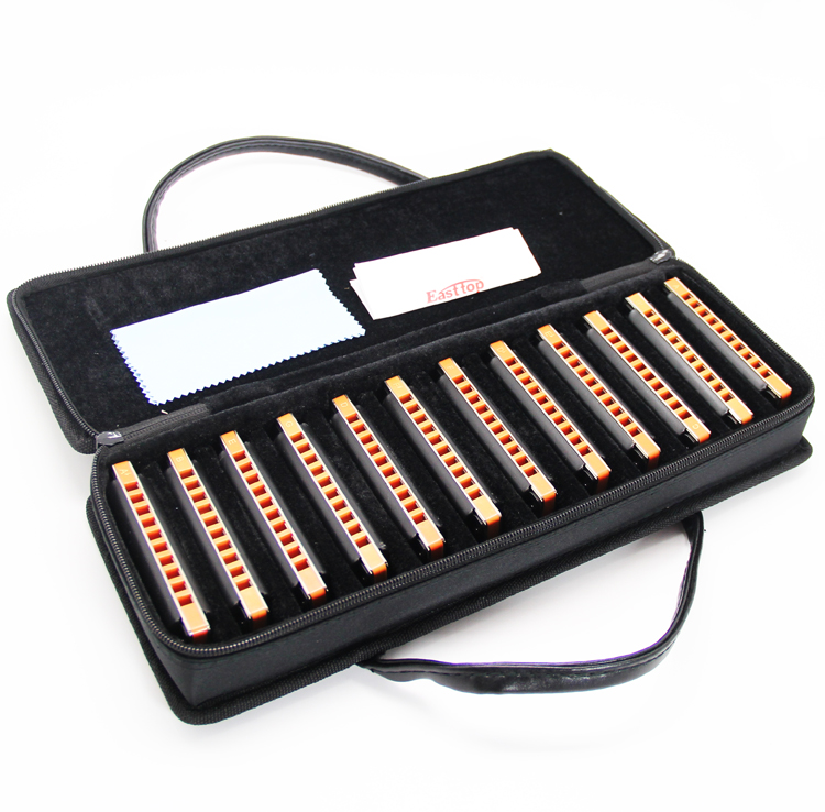 Easttop Harmonica 12 Keys Set 10 Hole Blues Harmonica Blues Harmonica Mouth Organ with Case Top Grade for Professional Player Beginner Students Children Kids Birthday Gift  T008S
