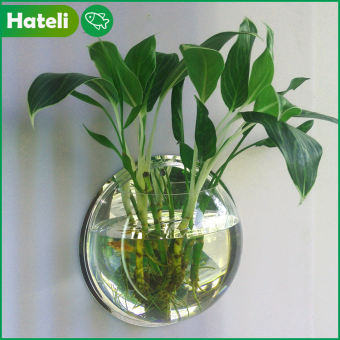 ( Đường Kính 15Cm ) Bình Treo Tường Bể Cá Bể Cá Chậu Hoa Bể Cá Vàng Treo Tường Sáng Tạo Bằng Acrylic Plexiglass