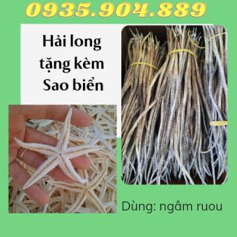 + 5 con Hải Long/Hải Xà biển khô dùng ngâm ruou