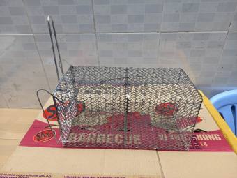 Lồng bắt chuột loại đại có khóa chặn cửa 36 cm