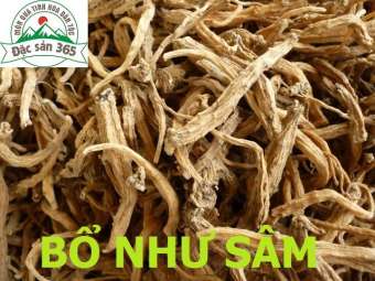 ĐẲNG SÂM ( SÂM DÂY NGỌC LINH ) KHÔ - 500G