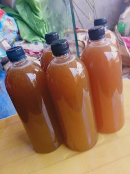 1 Lít Mật Ong Rừng hoa cà phê giá gốc tại vườn