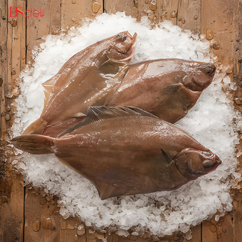 HCM - Cá lưỡi trâu Canada nguyên con đông lạnh