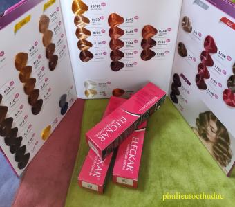 Màu nhuộm tóc Eleckar 100ml không kèm oxy