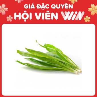 Mùi tàu (Ngò gai) WinEco gói 50g