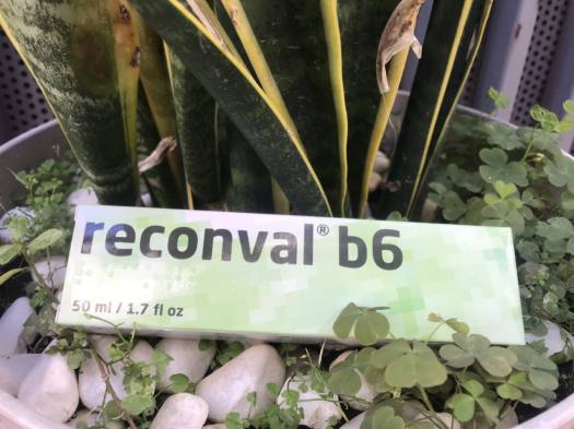 RECONVAL B6 Kem bôi da làm giảm hội chứng bàn tay bàn chân cho người điều tri ung thư Beeking BK12