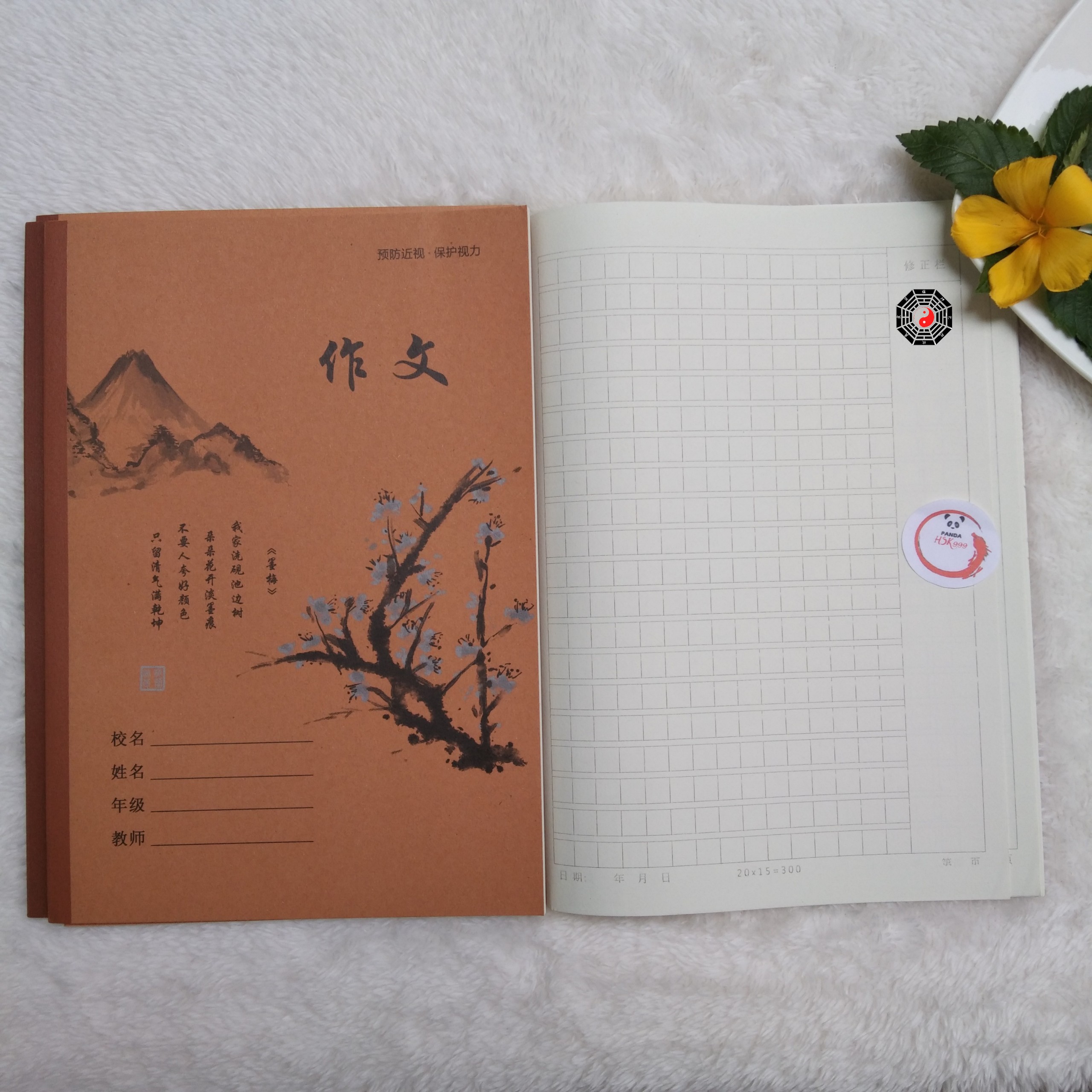 Vở Luyện Viết Chữ Hán Ô Vuông Kẻ Mờ Luyện Viết Tiếng Trung Nhật Hàn 48 Trang