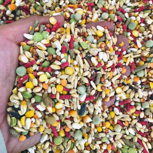 Cám đỏ đạm cho gà đá, thức ăn bổ sung đạm cho chiến kê