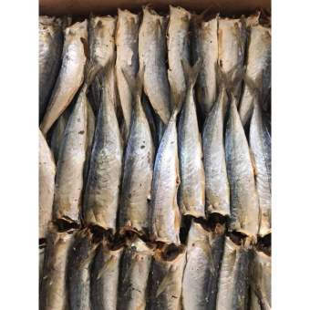 1kg CÁ NỤC NHẠT khô