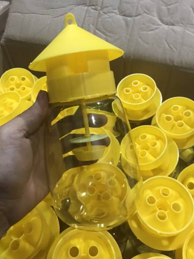 Đèn lồng bẫy ruồi vàng kèm thuố.c