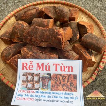 Rễ cây mú từn khô ngâm rượu HOA BAN FOOD được khai thác từ rừng sâu, rễ mú từn tươi phơi khô tự nhiên giữ đươc toàn bộ dược tính