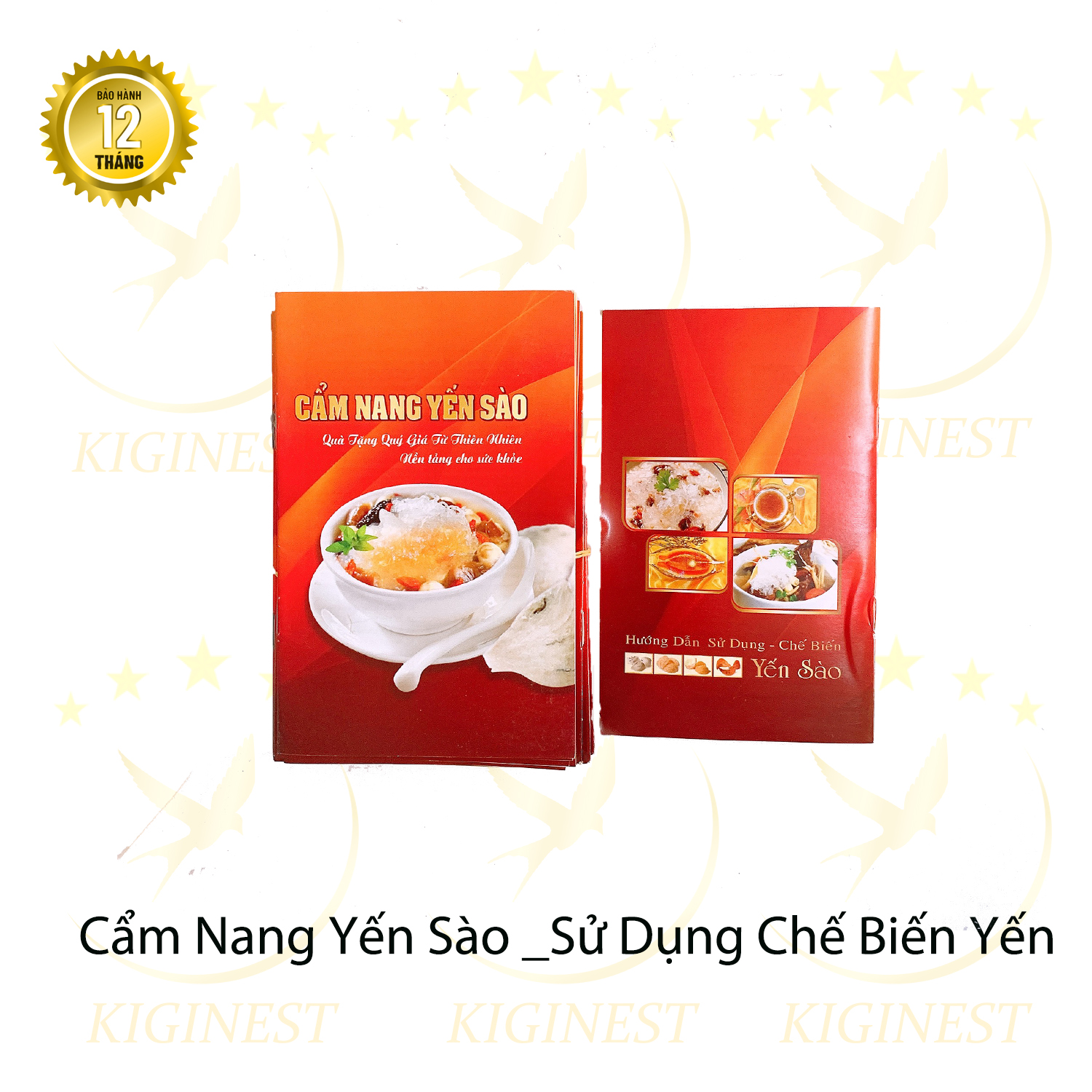 COMBO 10 CUỐN CẨM NANG YẾN SÀO - GIÁ RẺ