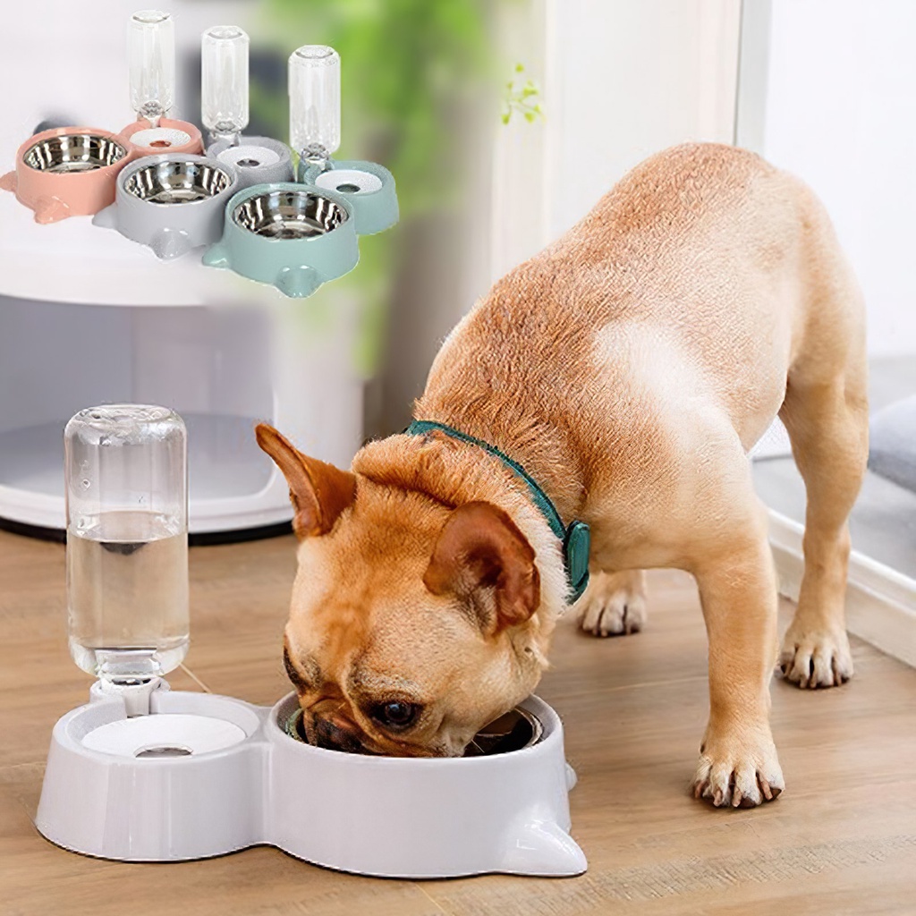 Bát ăn cho chó mèo tự động i chén thức ăn i bình uống nước tự động