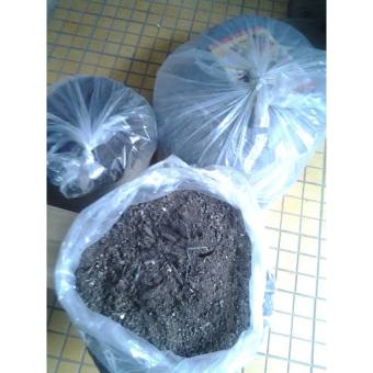 Phân chim yến 1kg