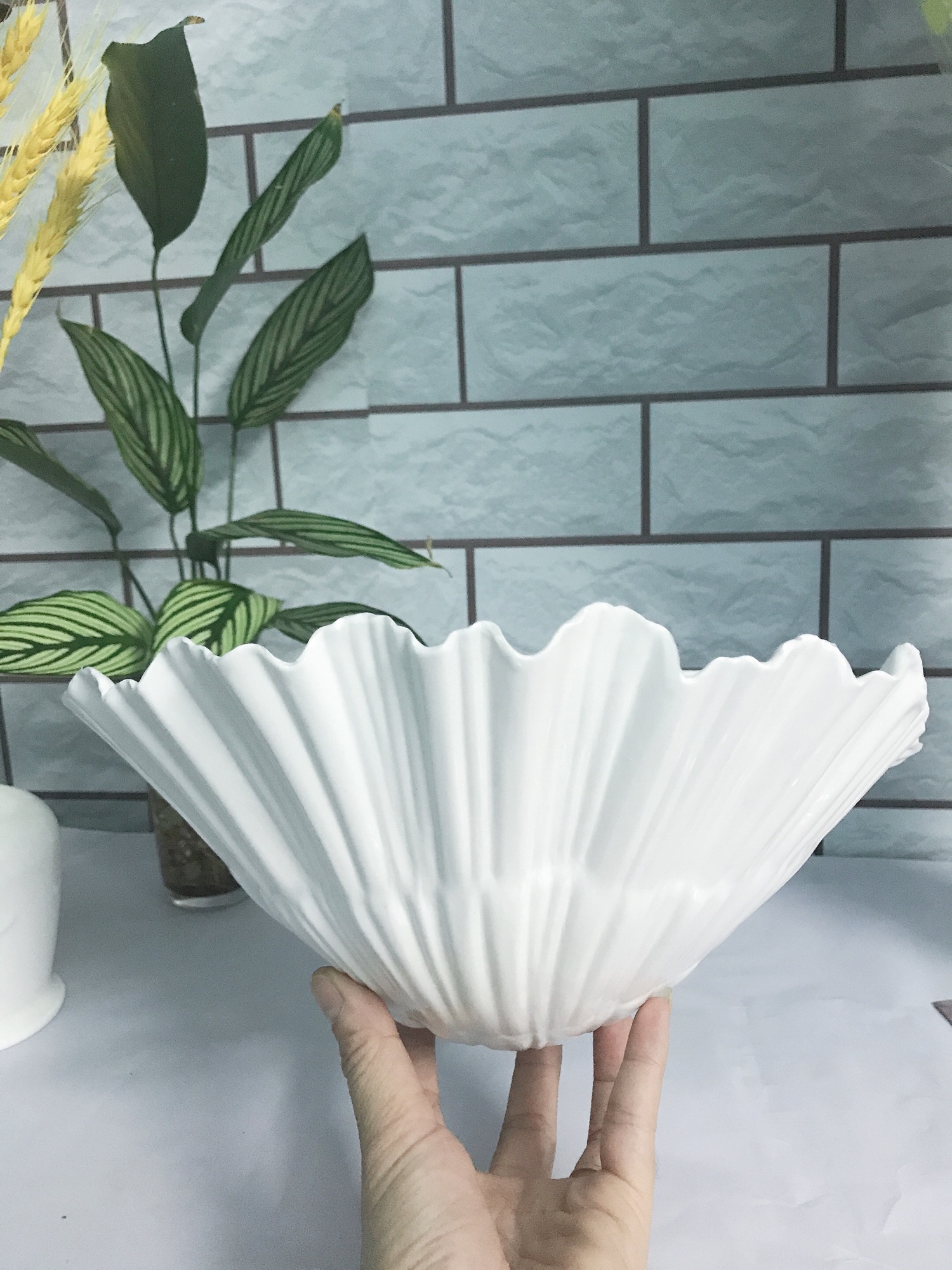 Chậu ốp tường áp tường treo tường trồng cây trồng hoa hình sò 3 tấc