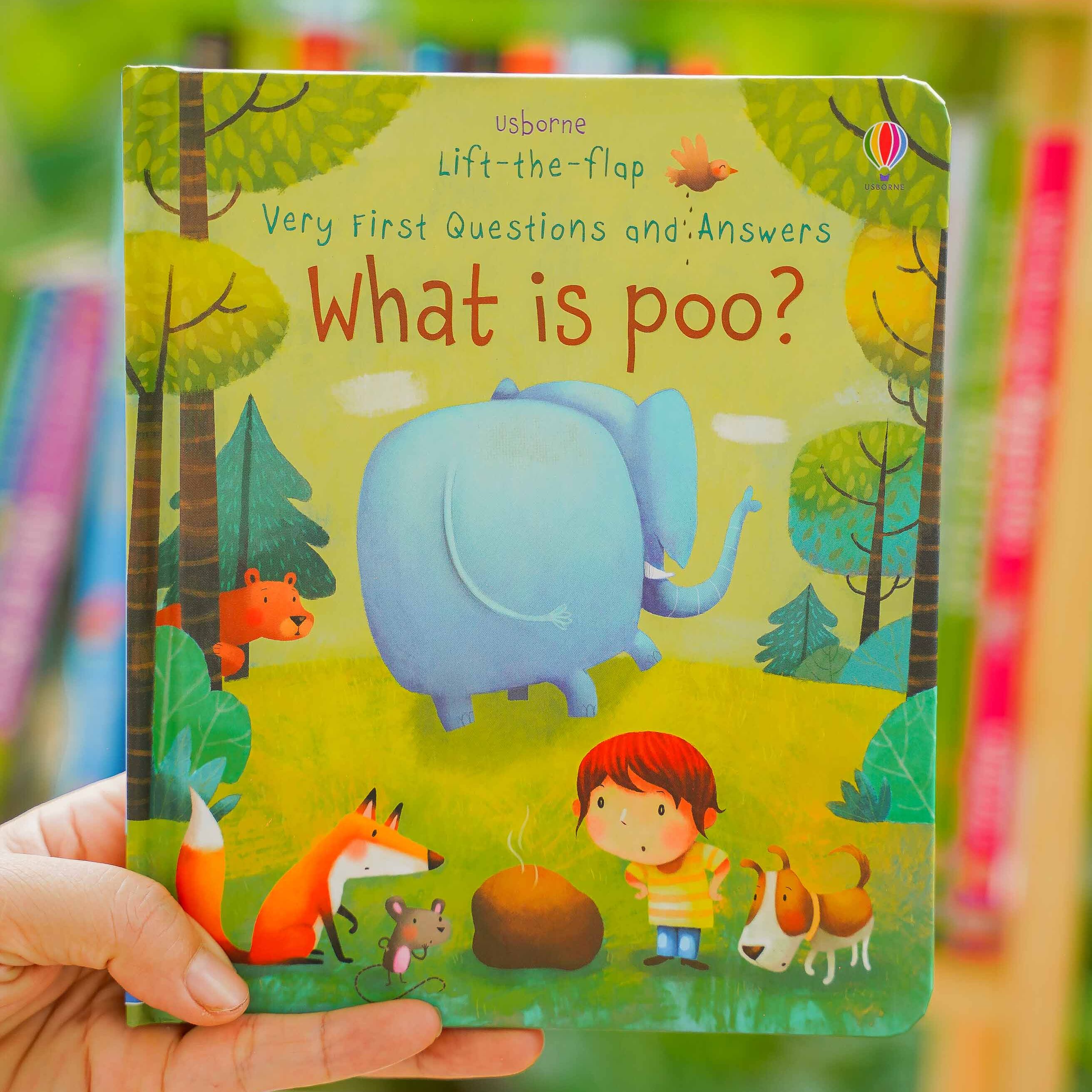 Sách tiếng Anh Usborne lật mở khám phá Lift the Flap very first question and answer