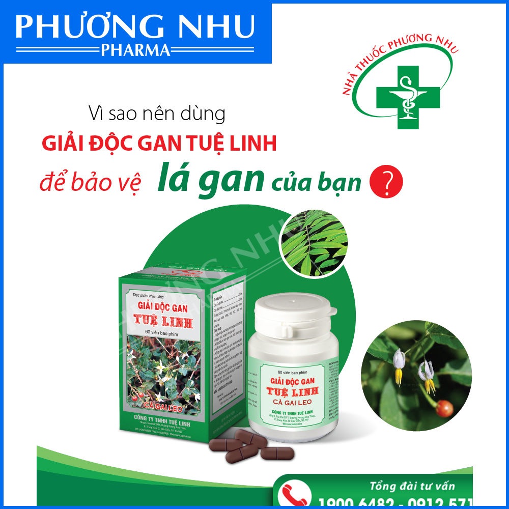 Giải độc gan tuệ linh từ cà gai leo - hỗ trợ giải độc gan, bảo vệ tế bào gan